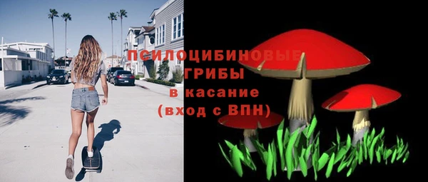 бошки Нея