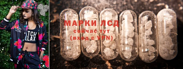 мяу мяу мука Гусь-Хрустальный