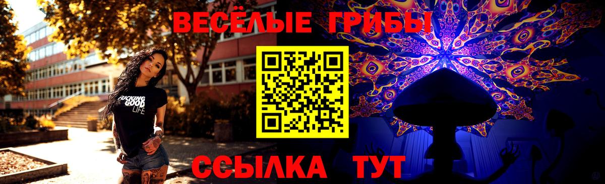Псилоцибиновые грибы мицелий  Вход с VPN  Мыски 
