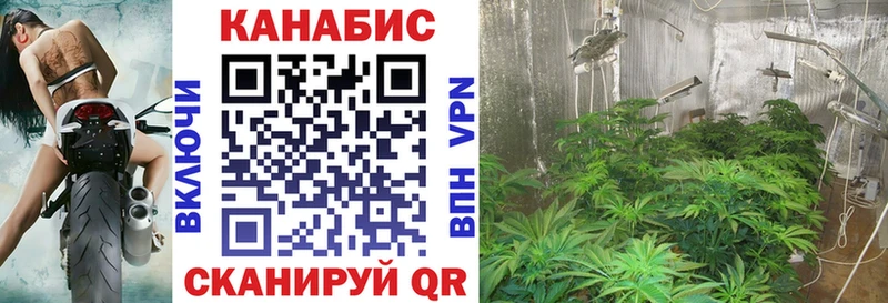 Бошки марихуана SATIVA & INDICA Мыски